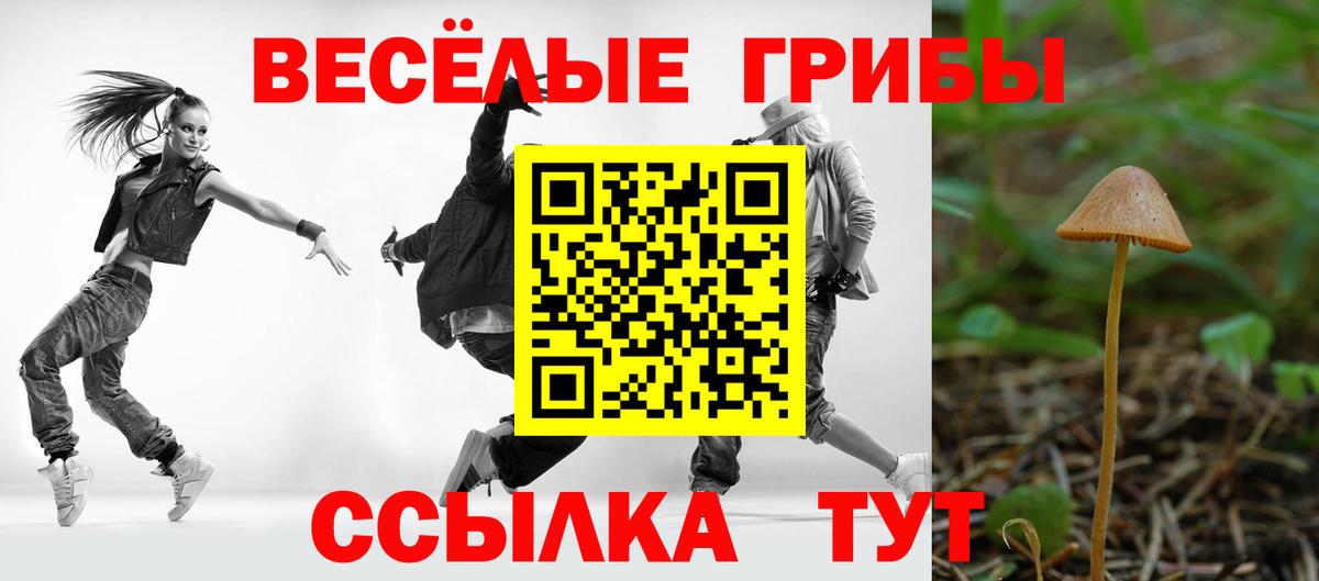 Саянск  Псилоцибиновые грибы Psilocybine cubensis  Вход с VPN  цена наркотик  Псилоцибиновые грибы мицелий 